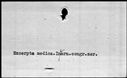 00421958.jpg