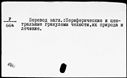 00198721.jpg