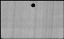 00493976.jpg