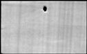 00495006.jpg