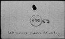 00431904.jpg