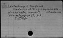 00496175.jpg