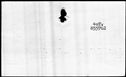 00496396.jpg