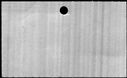 00498142.jpg