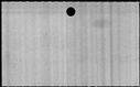 00498560.jpg