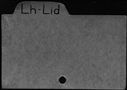 00528187.jpg