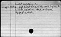 00528447.jpg