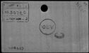 00504950.jpg