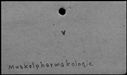 00508850.jpg