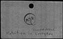 00441090.jpg