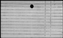 00442046.jpg