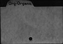 00305401.jpg