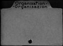 00305485.jpg