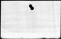 00310202.jpg