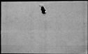 00446190.jpg