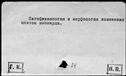 00531589.jpg
