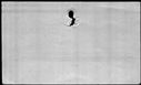 00531874.jpg