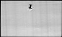 00531956.jpg
