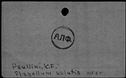 00532394.jpg