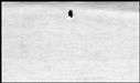 00209306.jpg