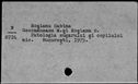 00318855.jpg