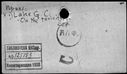 00319540.jpg