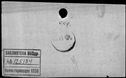00319554.jpg