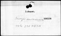 00319566.jpg