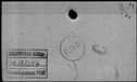 00319640.jpg