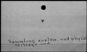 00219114.jpg