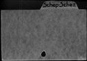 00220893.jpg