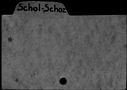 00518047.jpg