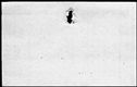 00519290.jpg