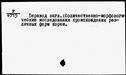 00519759.jpg