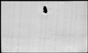 00331974.jpg