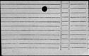 00333457.jpg