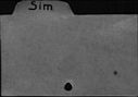 00333574.jpg