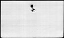00336832.jpg