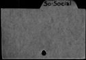 00337447.jpg