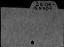 00338493.jpg
