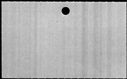 00338710.jpg