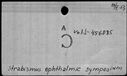 00534330.jpg