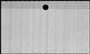 00534856.jpg
