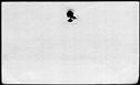 00233906.jpg