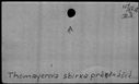 00347528.jpg