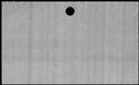 00348042.jpg
