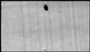 00348784.jpg