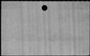 00348810.jpg