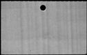 00348812.jpg