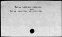00243961.jpg